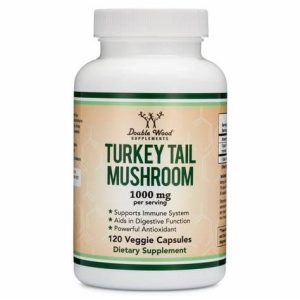 Turkey Tail Extract – 120 Caps