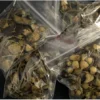 Premium psychedelic microdosing products