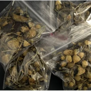 Premium psychedelic microdosing products