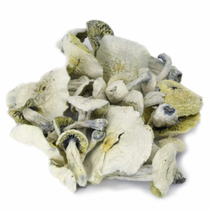 Buy A+ Magic Mushrooms Online