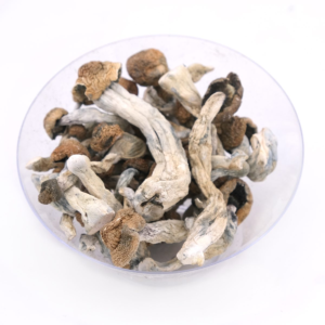 legal psychedelic for sale USA