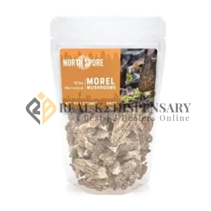 Dried morel mushrooms